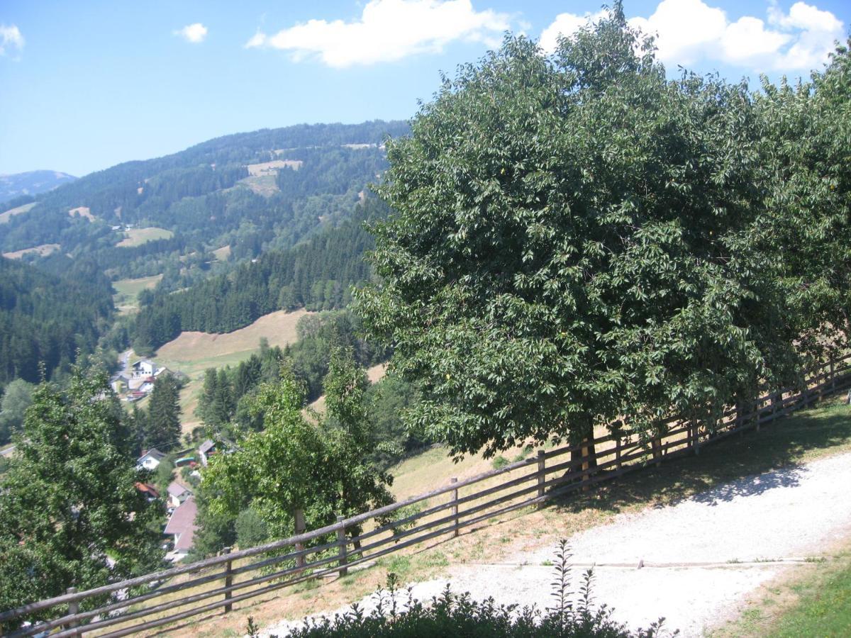Gerstbreinhof Panzió Bad Sankt Leonhard im Lavanttal Kültér fotó