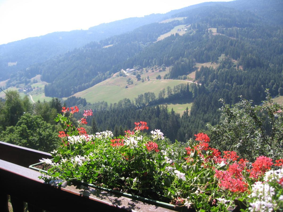 Gerstbreinhof Panzió Bad Sankt Leonhard im Lavanttal Kültér fotó